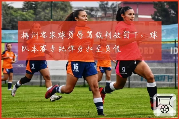 梅州客家球员辱骂裁判被罚下，球队本赛季纪律分扣至负值