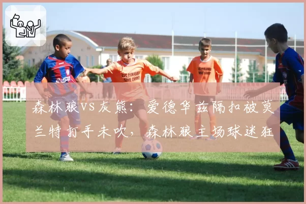森林狼vs灰熊:爱德华兹隔扣被莫兰特打手未吹,森林狼主场球迷狂嘘裁判