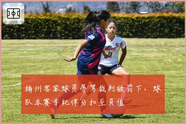 梅州客家球员辱骂裁判被罚下，球队本赛季纪律分扣至负值