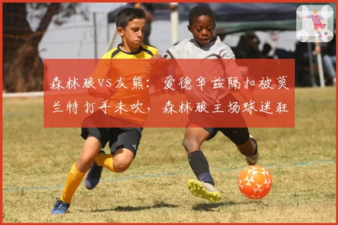 森林狼vs灰熊:爱德华兹隔扣被莫兰特打手未吹,森林狼主场球迷狂嘘裁判